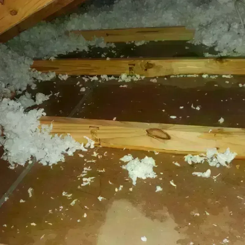 Attic Water Damage in Jackson, WY