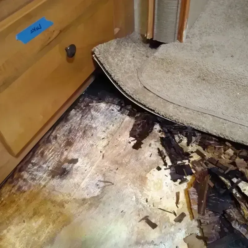 Wood Floor Water Damage in Jackson, WY